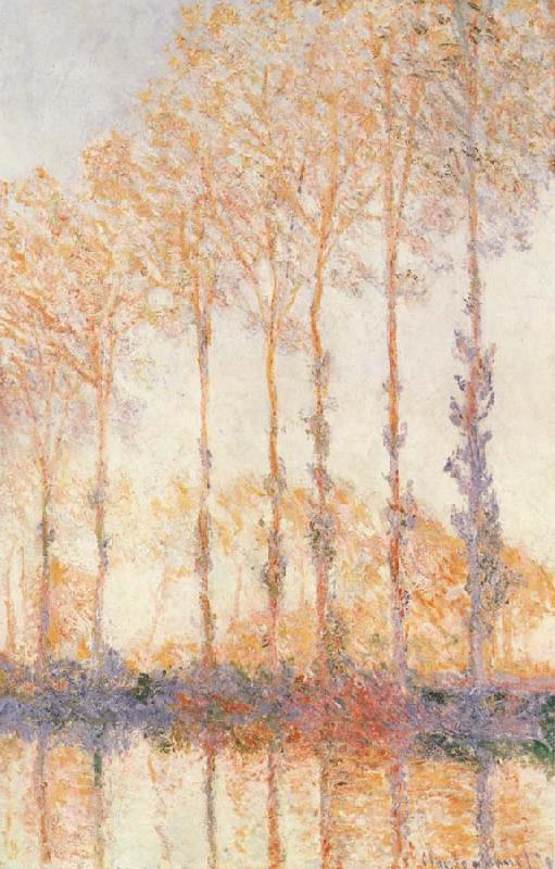 Claude Monet Peupliers an Bourd de l-Epte oil painting picture